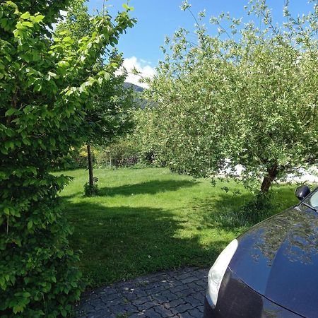 Flores, Ferienhaus Oder Doppelzimmer, Im Gruenen, 5 Gehminuten Ins Zentrum, Parkplatz, Zero Emissions Bad Ischl Exterior foto