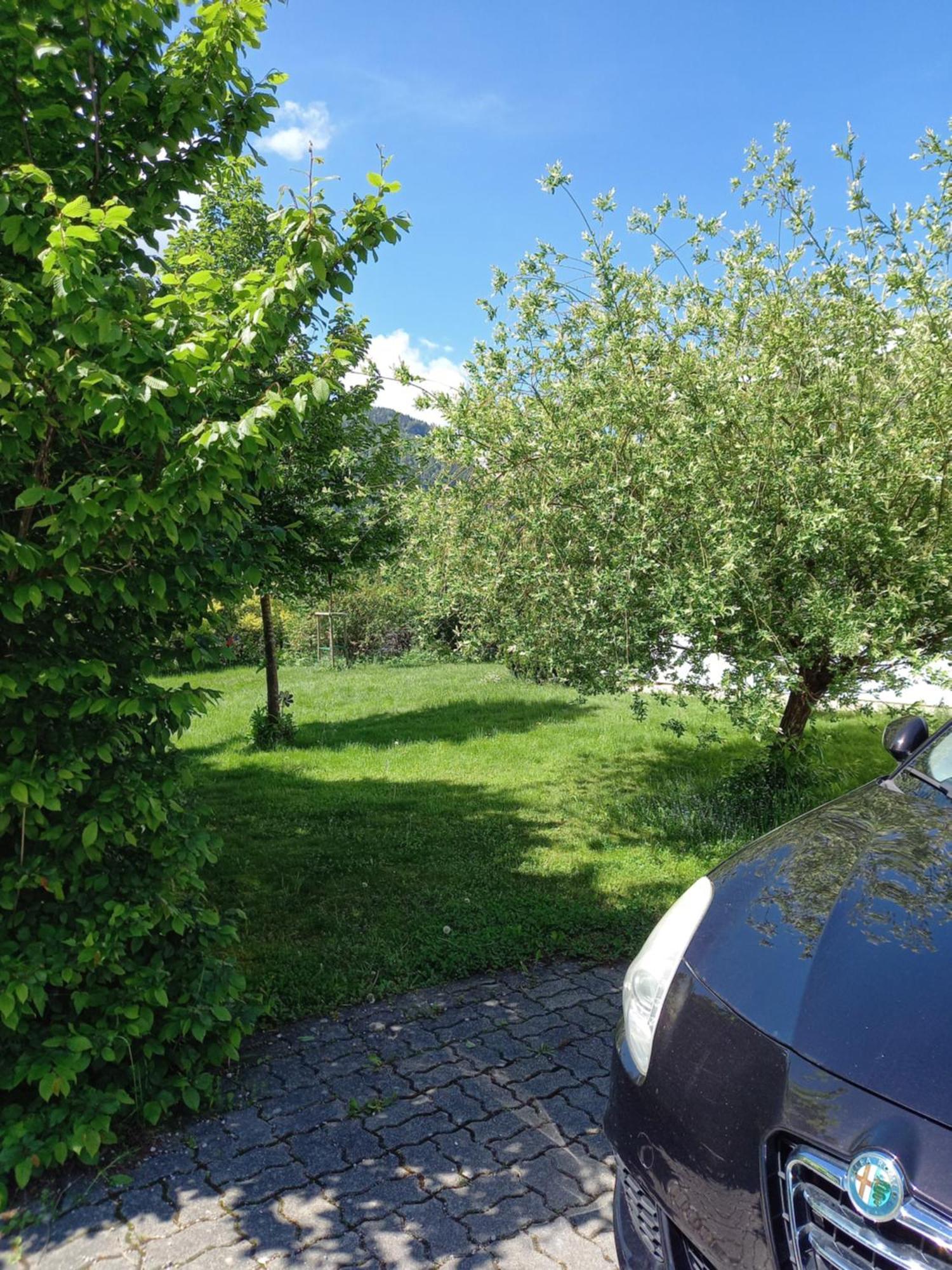 Flores, Ferienhaus Oder Doppelzimmer, Im Gruenen, 5 Gehminuten Ins Zentrum, Parkplatz, Zero Emissions Bad Ischl Exterior foto