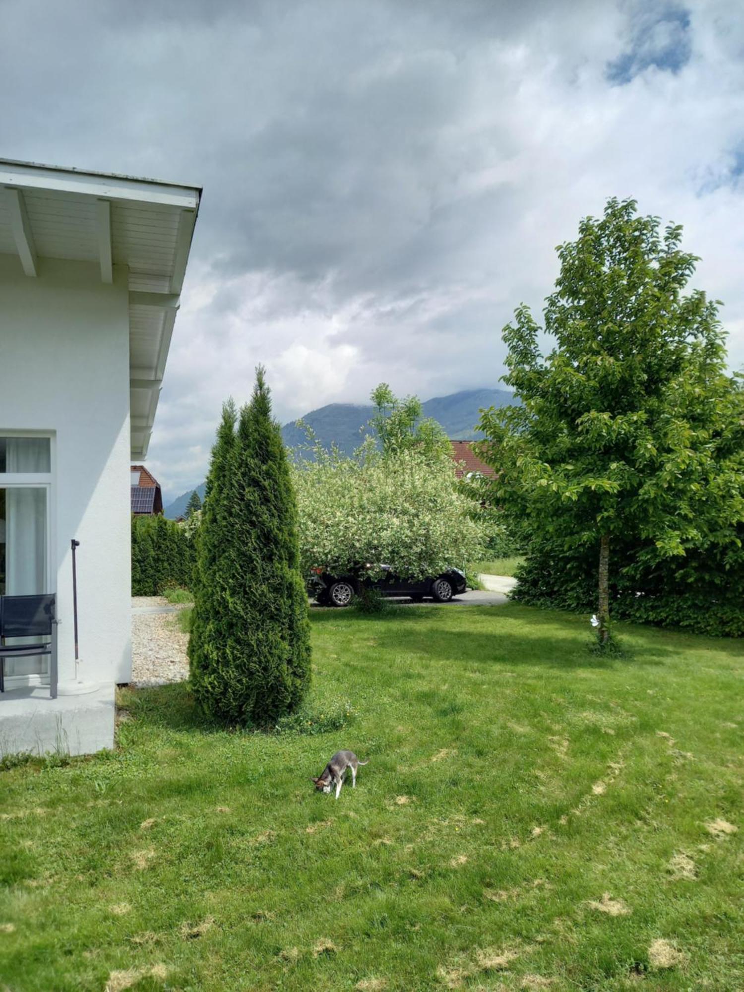 Flores, Ferienhaus Oder Doppelzimmer, Im Gruenen, 5 Gehminuten Ins Zentrum, Parkplatz, Zero Emissions Bad Ischl Exterior foto